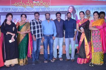 Ammammagarillu Movie Successmeet